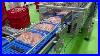 Packaging Automation Sl4map V Tray Sealer For Meat